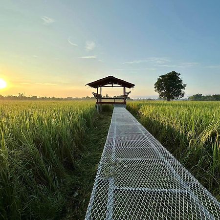 Phanumas Resort チエンマイ エクステリア 写真